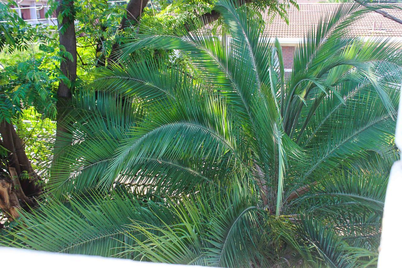 Lolo'S 1Bed Apt-Best Location-2Balconies Harare Buitenkant foto